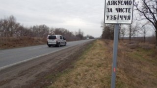 На Львівщині вздовж дороги посадили 450 дерев