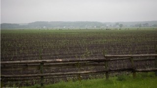 На Львівщині створять каталог вільних сільськогосподарських земельних ділянок