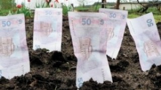 Підприємство у Львові не виплатило міському бюджету 180 тис. грн оренди за землю