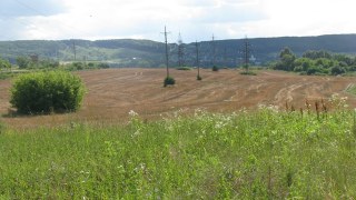 На Львівщині з початку дії ринку землі продали понад понад 420 гектарів