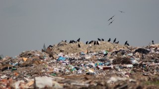 Синютка виділив землю для сміттєзвалища фірмі, яка ніколи не займалася відходами