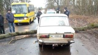 Проїзд автошляхами Львівщини ускладнився внаслідок шквального вітру
