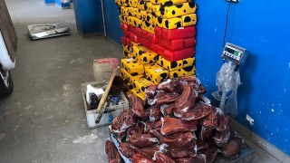 У Рава-Руській митники вилучили півтори тонни контрабанди м'яса і сиру