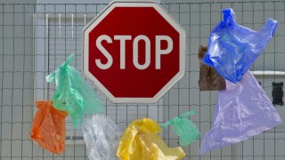 В Україні від сьогодні заборонено безкоштовно розповсюджувати пластикові пакети