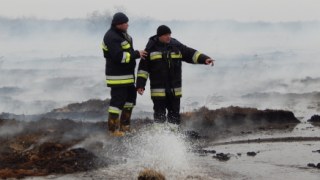 Пожежа у Сокалі охопила понад 3,5 га землі