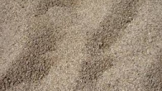 У Буському районі виявили незаконне розкрадання піску