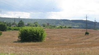 Мешканець Городоччини самовільно посіяв кукурудзу на понад 44 га державної землі