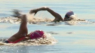 Змагання з плавання відбудуться у неділю на Винниківському озері