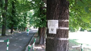 Завтра не бажано відвідувати 3 парки Львова