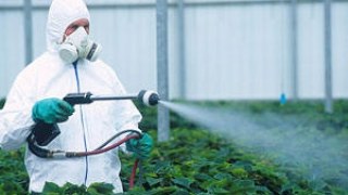 Ізраїльська компанія нарешті вивезе пестициди із Львівської області