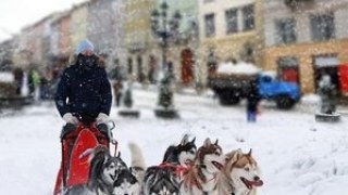 Користувачі соцмереж не втрачають гумору щодо львівських снігопадів