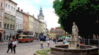 Хворі каштани та аварійну липу зрізатимуть на площі Ринок у Львові