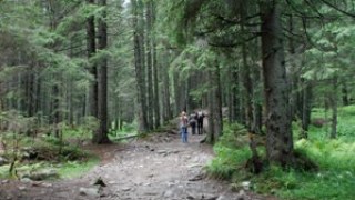 На Сколівщині продовжують пошуки хлопця, який заблукав у лісі