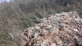 На Бущині екоінспектори виявили скотомогильник