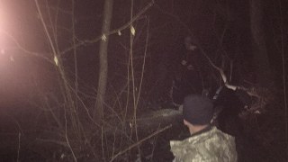 На Сокальщині двоє молодих хлопців вночі зрізали дерева