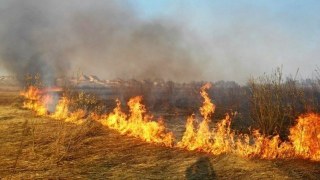 У Буську зафіксували пожежу сухостою