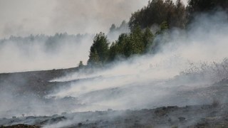 МНС ліквідувало загорання торфу у Яворівському районі