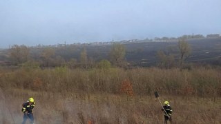 За добу на Львівщині зафіксували 19 пожеж сухостою