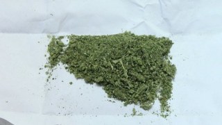 У Самборі поліцейські виявили марихуану у неповнолітніх