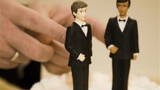 «Не можна заборонити того, чого не існує» – Павленко щодо законопроекту «Свободи» про всиновлення дітей гомосексуалістами