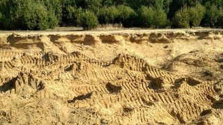 На Яворівщині з лісу незаконно вивозили пісок