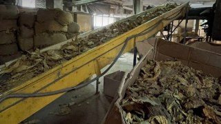 Детективи БЕБ проводять обшуки у Винниківській тютюновій фабриці