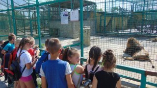 Зоопарк на Дрогобиччині, куди евакуювали тварин з Київщини, просить про допомогу