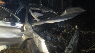 На Радехівщині водій легковика врізався у дерево і загинув