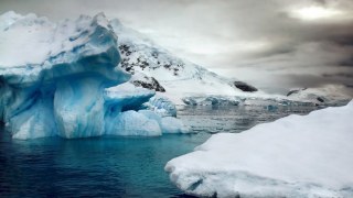 Україна блокує створення заповідників біля Антарктиди – Focus