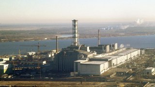 У чорнобильській зоні можуть створити радіологічний заповідник