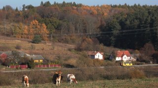 На Львівщині затвердили генплани трьох населених пунктів