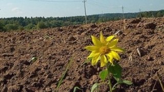 Громаді Яворівщини повернули незаконно відібрану землю вартістю 318 тис. грн