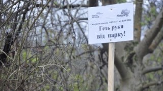Екоінспектори виявили понад сотню незаконно зрізаних дерев у Снопківському парку