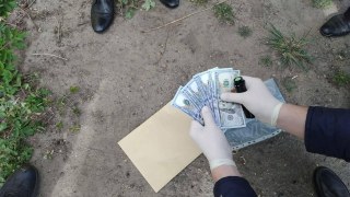 Голову сільради на Львівщині викрили на хабарі у 5 000 доларів