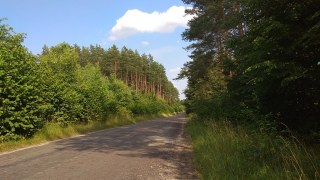 Мешканцям Яворівщини заборонили відвідувати ліси та зупинки транспорту
