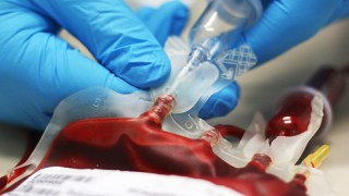 Військовий шпиталь шукає донорів крові для поранених військових у зоні АТО