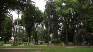 У Стрийському парку обрізають дерева