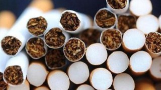 У 2016 році львівські митники конфіскували більше півмільйона пачок цигарок