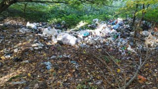 На території Городоцької ОТГ виявили звалище побутового сміття