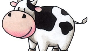 Костюк купить в Канаді 1000 корів, а ще, можливо, й свиней