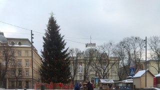 25 січня демонтують головну ялинку Львова