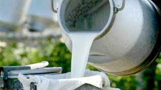 Свободівці закликають селян не здавати молоко заготівельникам