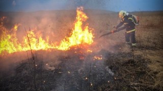 За добу на Львівщині зафіксували 13 пожеж сухостою