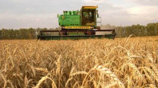 На Львівщині вперше за 2013 впали обсяги виробництвва сільськогосподарської продукції