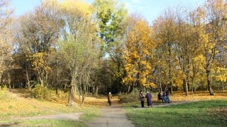 У Залізничному районі Львова облаштують новий парк