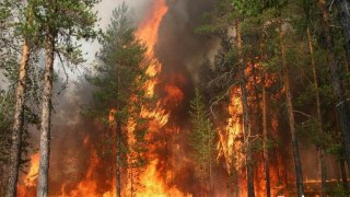 411 пожеж виникли на відпочинку з початку року на Львівщині