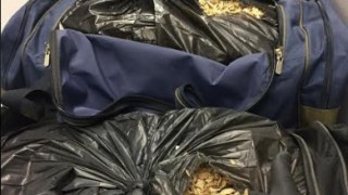 Харків'янин намагався ввезти на Львівщину 85 кг макової соломки