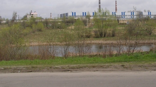 озеро у Пасіках-Зубрицьких