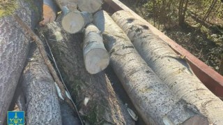 На Львівщині посадовця держпідприємства Ліси України викрили на хабарі у 60 тисяч гривень