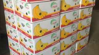 У Краковці прикордонники затримали 707 кг бананів